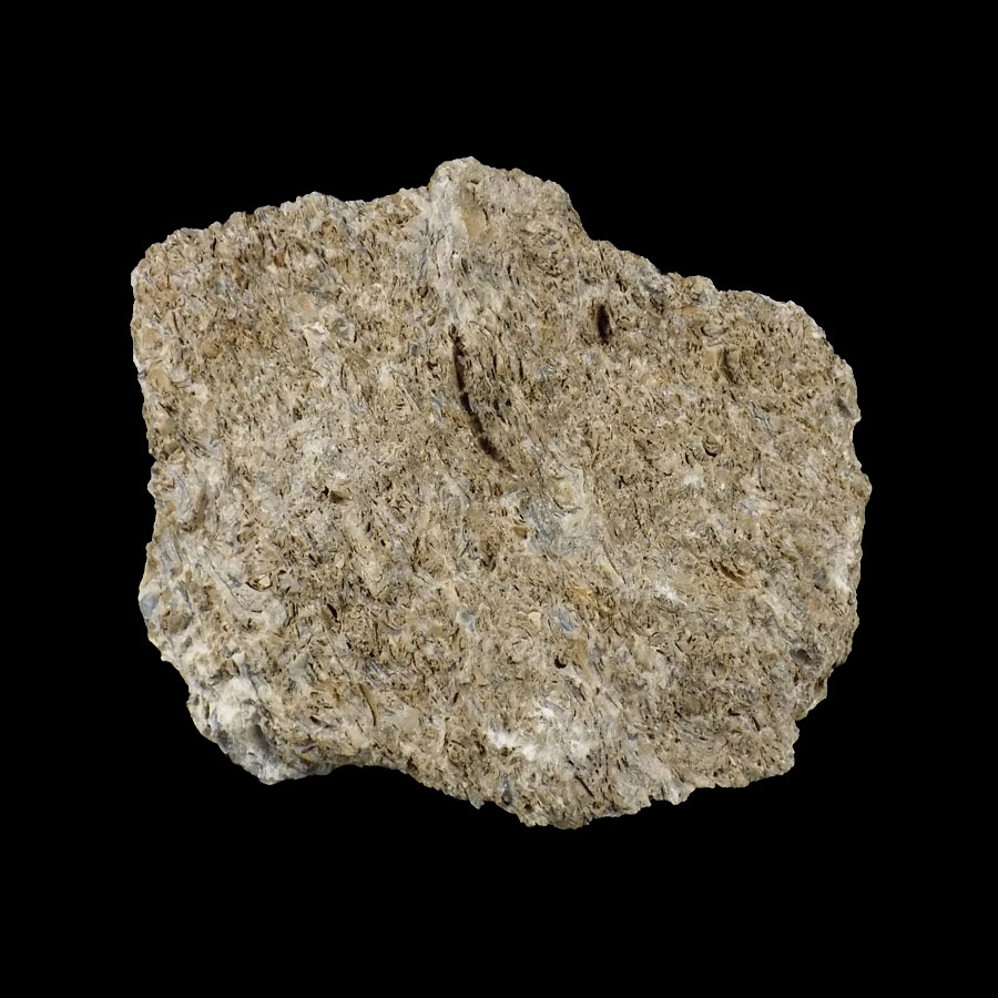 Purbeck Limestone